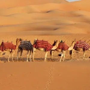 Explore Jaisalmer Exploration Tour for 3 days with Agora Voyages OPC Pvt Ltd and discover unforgettable experiences - Photo 6