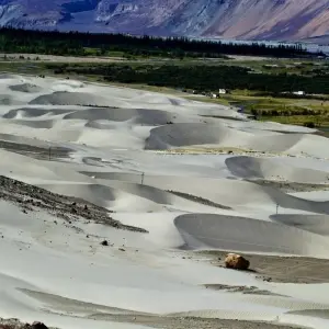 Explore Ladakh Valley Expedition: Leh, Nubra & Pangong Lake for 6 days with Agora Voyages OPC Pvt Ltd and discover unforgettable experiences - Photo 6