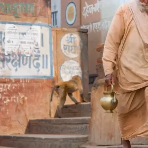 Explore Divine Krishna Trail: Mathura Vrindavan Sacred Journey Day Tour from Delhi for 1 days with Agora Voyages OPC Pvt Ltd and discover unforgettable experiences - Photo 4