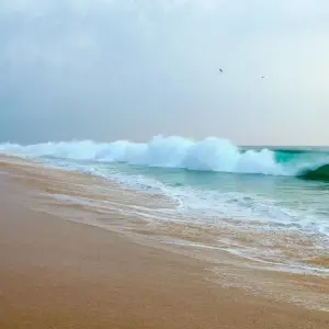 Explore Treasures of Trivandrum & Kovalam: Private Day Tour with a Local Guide for 1 days with Agora Voyages OPC Pvt Ltd and discover unforgettable experiences - Photo 4