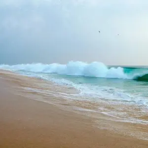 Explore Treasures of Trivandrum & Kovalam: Private Day Tour with a Local Guide for 1 days with Agora Voyages OPC Pvt Ltd and discover unforgettable experiences - Photo 7