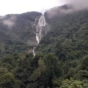 Explore Sacred Cascades: Dudhsagar Waterfall & Tambdisurla Temple Excursion from Goa for 1 days with Agora Voyages OPC Pvt Ltd and discover unforgettable experiences - Photo 3
