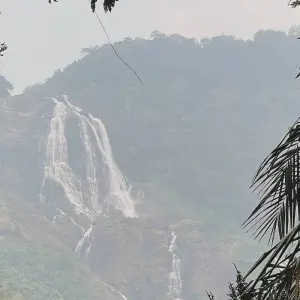 Explore Sacred Cascades: Dudhsagar Waterfall & Tambdisurla Temple Excursion from Goa for 1 days with Agora Voyages OPC Pvt Ltd and discover unforgettable experiences - Photo 6
