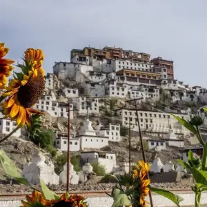 Explore Kashmir & Ladakh Exploration for 13 days with Agora Voyages OPC Pvt Ltd and discover unforgettable experiences - Photo 6