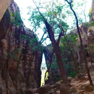 Explore Incredible Wildlife Safari in Bandhavgarh, Kanha & Pench National Parks for 7 days with Agora Voyages OPC Pvt Ltd and discover unforgettable experiences - Photo 3