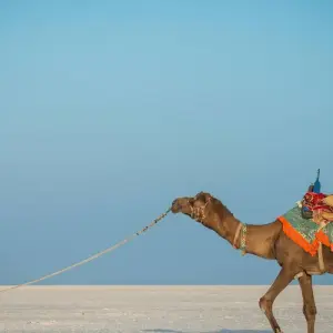 Explore Mumbai to Ahmedabad Cultural Craft Expedition for 20 days with Agora Voyages OPC Pvt Ltd and discover unforgettable experiences - Photo 8