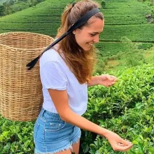 Explore Sri Lanka Nature Odyssey: 14 Days of Wildlife, Safaris, Trekking, and Heritage for 14 days with Airlines Crew Tours and discover unforgettable experiences - Photo 6