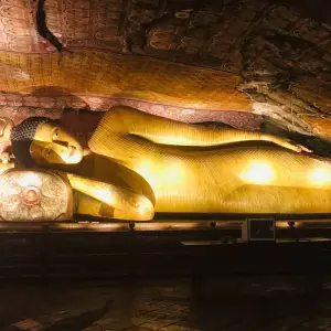 Explore Sri Lanka's Ultimate 10-Day Discovery Tour for 10 days with Airlines Crew Tours and discover unforgettable experiences - Photo 4