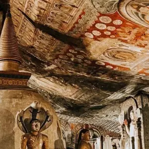 Explore Sri Lanka Nature Odyssey: 14 Days of Wildlife, Safaris, Trekking, and Heritage for 14 days with Airlines Crew Tours and discover unforgettable experiences - Photo 7