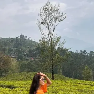 Explore Sri Lanka's Ultimate 10-Day Discovery Tour for 10 days with Airlines Crew Tours and discover unforgettable experiences - Photo 9