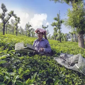 Explore Serene Nilgiris: Ooty and Coonoor Discovery Tour for 3 days with Agora Voyages OPC Pvt Ltd and discover unforgettable experiences - Photo 6