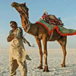 Explore Gujarat: The Art, Craft & Nature Exploration for 5 days with Agora Voyages OPC Pvt Ltd and discover unforgettable experiences - Photo 6