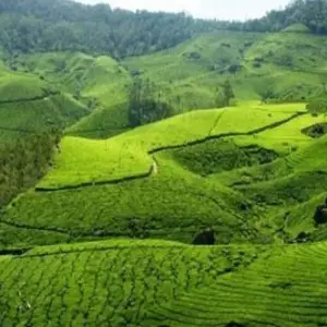 Explore KERLA NATIOANAL PARK WITH 8 DAYS TOURS for 8 days with Agra Travels Service & Tours and discover unforgettable experiences - Photo 5