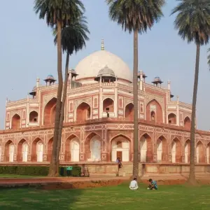 Explore Unique & Adventure Golden Triangle Tour With Chambal Safari for 8 days with Agra Travels Service & Tours and discover unforgettable experiences - Photo 9