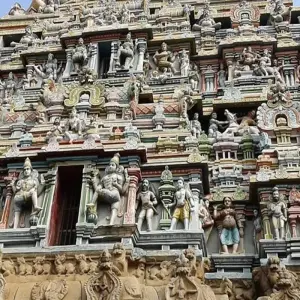 Explore Romantic Beaches and Backwaters 10 Days  Tour of Kerela for 10 days with Agra Travels Service & Tours and discover unforgettable experiences - Photo 4