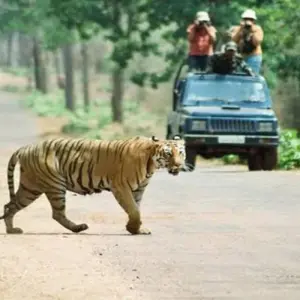 Explore Famous 14 Days India Nepal Wildlife Tour with Taj Mahal for 14 days with Agra Travels Service & Tours and discover unforgettable experiences - Photo 6