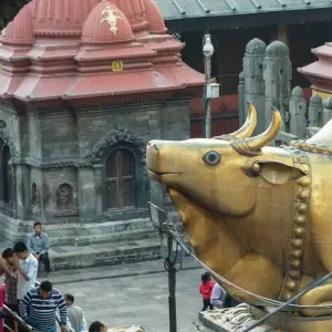 Explore Famous 14 Days India Nepal Wildlife Tour with Taj Mahal for 14 days with Agra Travels Service & Tours and discover unforgettable experiences - Photo 10