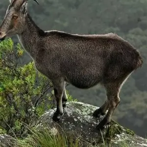 Explore Southern India Tour with Beaches and Houseboat Experience for 10 days with Agra Travels Service & Tours and discover unforgettable experiences - Photo 3