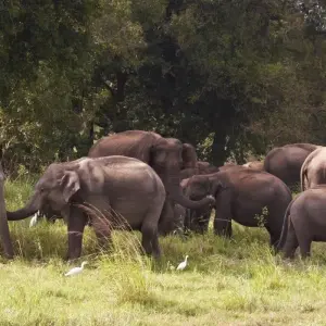 Explore Connected to the Wild, Private Tour for 11 days with Aitken Spence Travel and discover unforgettable experiences - Photo 2