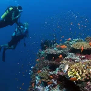 Explore Getaway to Maldives, Private Tour for 4 days with Aitken Spence Travel and discover unforgettable experiences - Photo 5