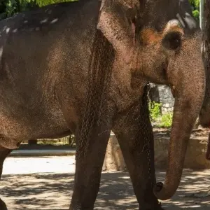 Explore Professional Birding Tour for 9 days with Aitken Spence Travel and discover unforgettable experiences - Photo 5