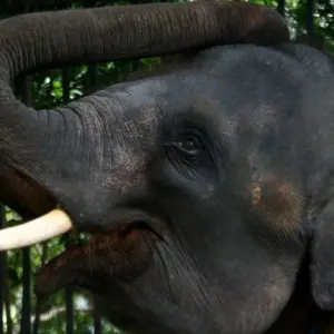 Explore Connected to the Wild, Private Tour for 11 days with Aitken Spence Travel and discover unforgettable experiences - Photo 5