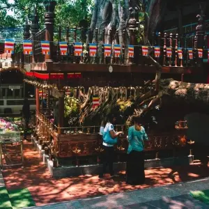 Explore Cultural Tour for 4 days with Aitken Spence Travel and discover unforgettable experiences - Photo 4