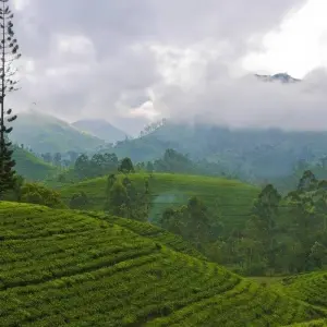 Explore All in One Sri Lanka for 10 days with Aitken Spence Travel and discover unforgettable experiences - Photo 5