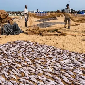 Explore City Break, Escape to Negombo for 4 days with Aitken Spence Travel and discover unforgettable experiences - Photo 10