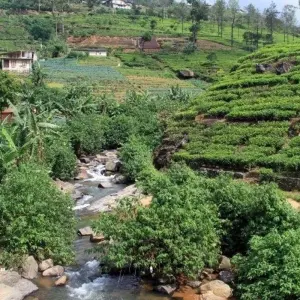 Explore All in One Sri Lanka for 10 days with Aitken Spence Travel and discover unforgettable experiences - Photo 6