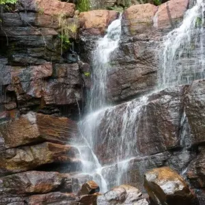 Explore Professional Birding Tour for 9 days with Aitken Spence Travel and discover unforgettable experiences - Photo 11