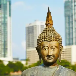 Explore Sri Lanka in a Nutshell for 6 days with Aitken Spence Travel and discover unforgettable experiences - Photo 10