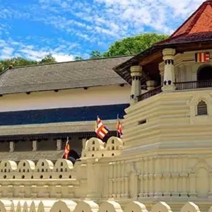 Explore Sri Lanka in a Nutshell for 6 days with Aitken Spence Travel and discover unforgettable experiences - Photo 11