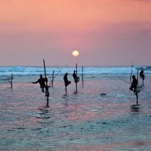 Explore Vivacious Sri Lanka for 8 days with Aitken Spence Travel and discover unforgettable experiences - Photo 2