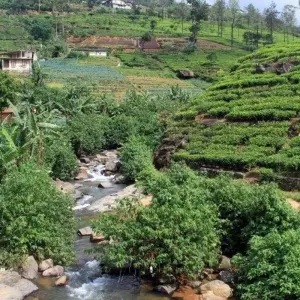 Explore All in One Sri Lanka for 10 days with Aitken Spence Travel and discover unforgettable experiences - Photo 8