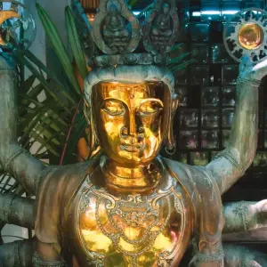 Explore Sacred Sri Lanka for 5 days with Aitken Spence Travel and discover unforgettable experiences - Photo 6