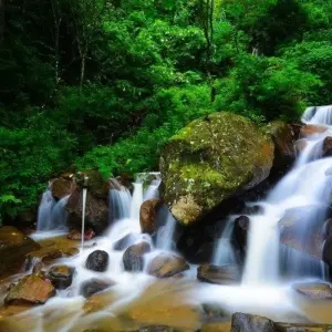 Explore Leopards and Endemic Birds of Sri Lanka for 8 days with Aitken Spence Travel and discover unforgettable experiences - Photo 3
