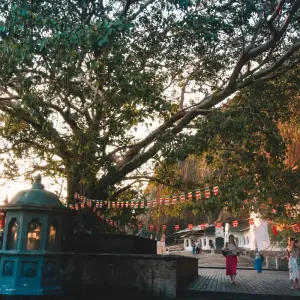 Explore Exclusive Tea Tour, Private Tour for 10 days with Aitken Spence Travel and discover unforgettable experiences - Photo 4