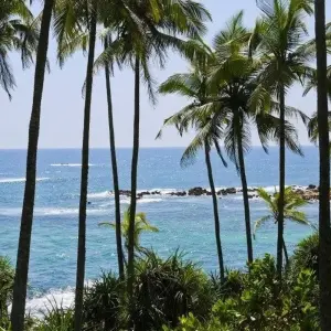 Explore All in One Sri Lanka for 10 days with Aitken Spence Travel and discover unforgettable experiences - Photo 9