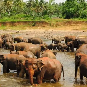 Explore Cultural Tour for 4 days with Aitken Spence Travel and discover unforgettable experiences - Photo 10