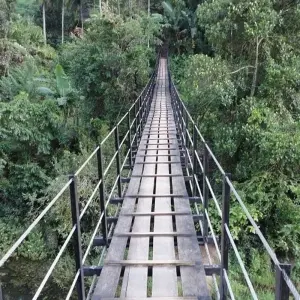 Explore The Vivid Green of Sri Lanka for 4 days with Aitken Spence Travel and discover unforgettable experiences - Photo 4