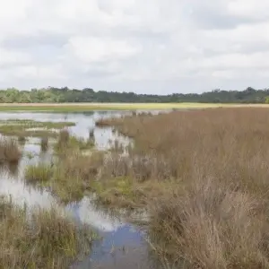 Explore The Local Way - Sri Lanka for 7 days with Aitken Spence Travel and discover unforgettable experiences - Photo 4