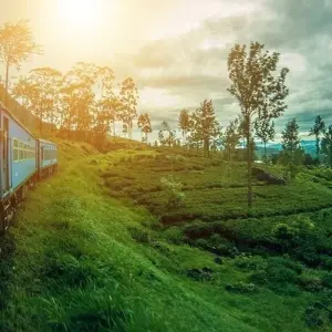 Explore The Vivid Green of Sri Lanka for 4 days with Aitken Spence Travel and discover unforgettable experiences - Photo 5