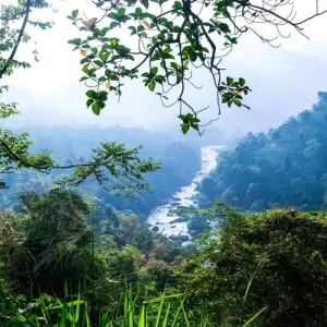 Explore Cultural Highlights of Sri Lanka 6 Days, Private Tour for 6 days with Aitken Spence Travel and discover unforgettable experiences - Photo 4