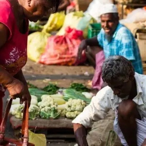 Explore Vivacious Sri Lanka for 8 days with Aitken Spence Travel and discover unforgettable experiences - Photo 5