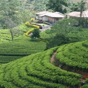 Explore All in One Sri Lanka for 10 days with Aitken Spence Travel and discover unforgettable experiences - Photo 11