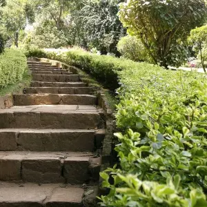 Explore A Glimpse of Culture for 3 days with Aitken Spence Travel and discover unforgettable experiences - Photo 6