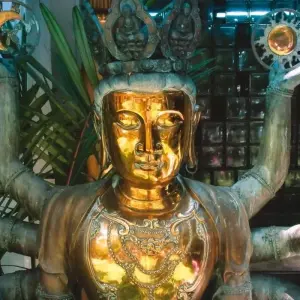 Explore The Vivid Green of Sri Lanka for 4 days with Aitken Spence Travel and discover unforgettable experiences - Photo 6