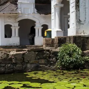 Explore Romantic Escape, Private Tour for 11 days with Aitken Spence Travel and discover unforgettable experiences - Photo 5