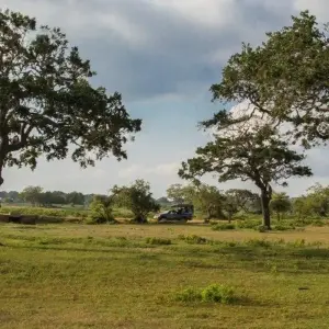 Explore Vivacious Sri Lanka for 8 days with Aitken Spence Travel and discover unforgettable experiences - Photo 6